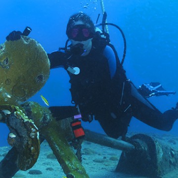 Thumbnail: Coolest Shore Excursions on Adventure of the Seas