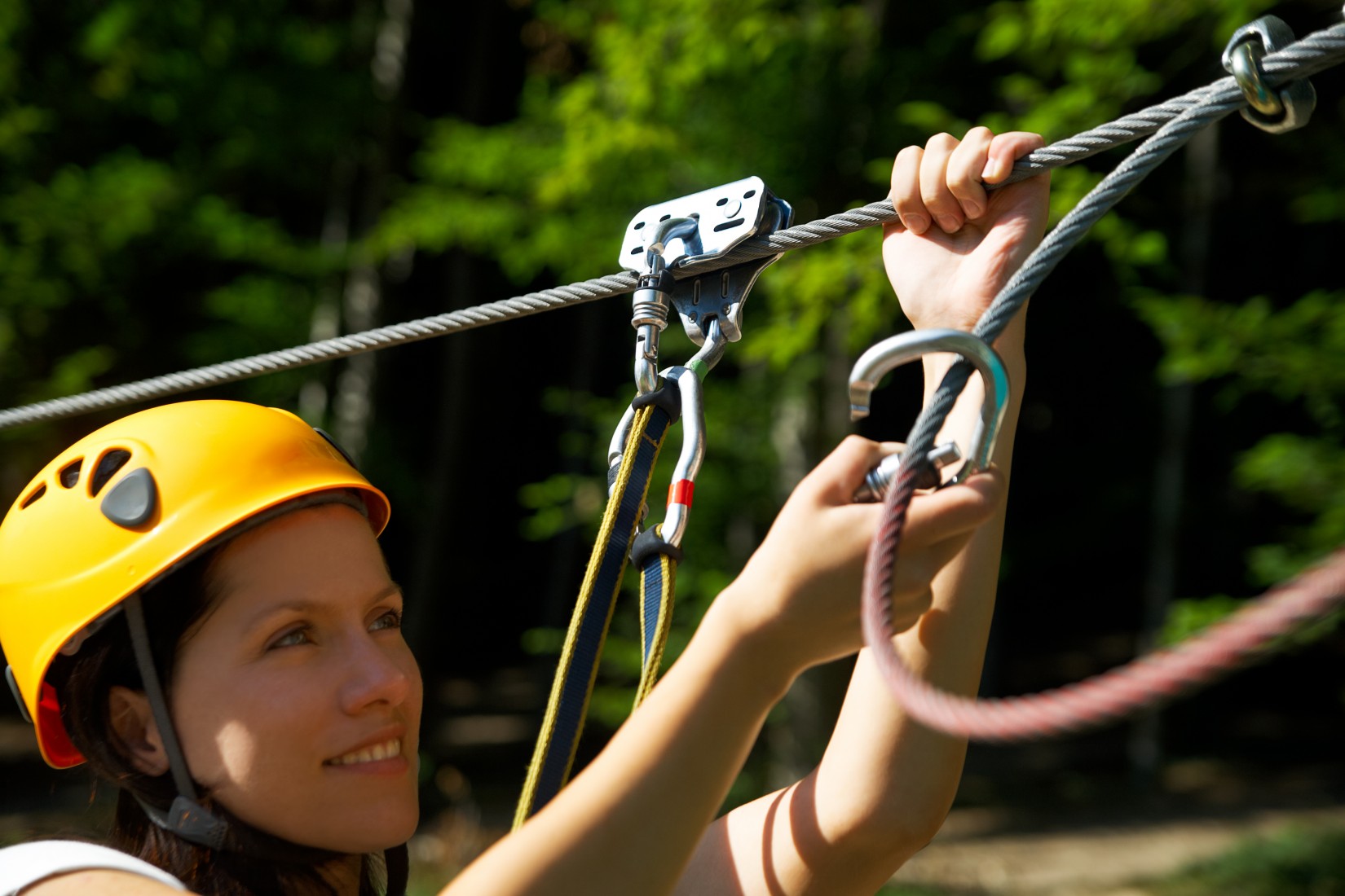 waiheke-island-zipline-royal-caribbean