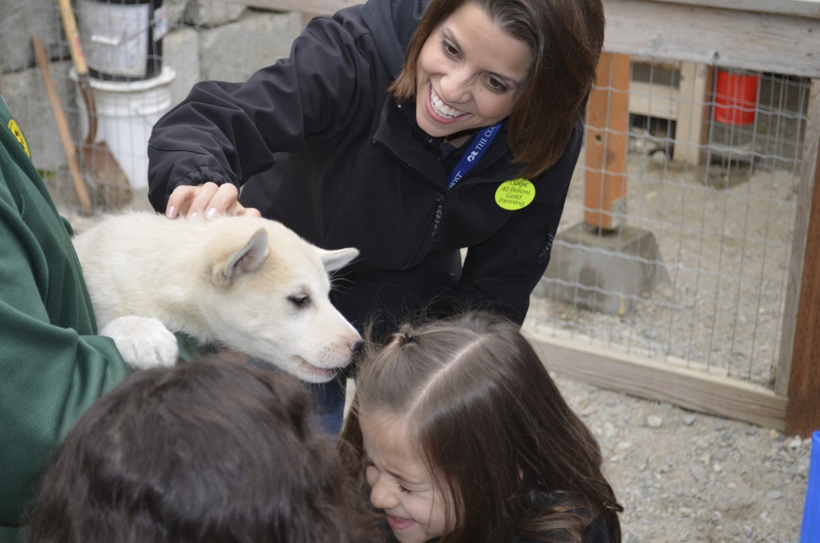 Goldrush Sled Dogs and White Pass Train Adventure