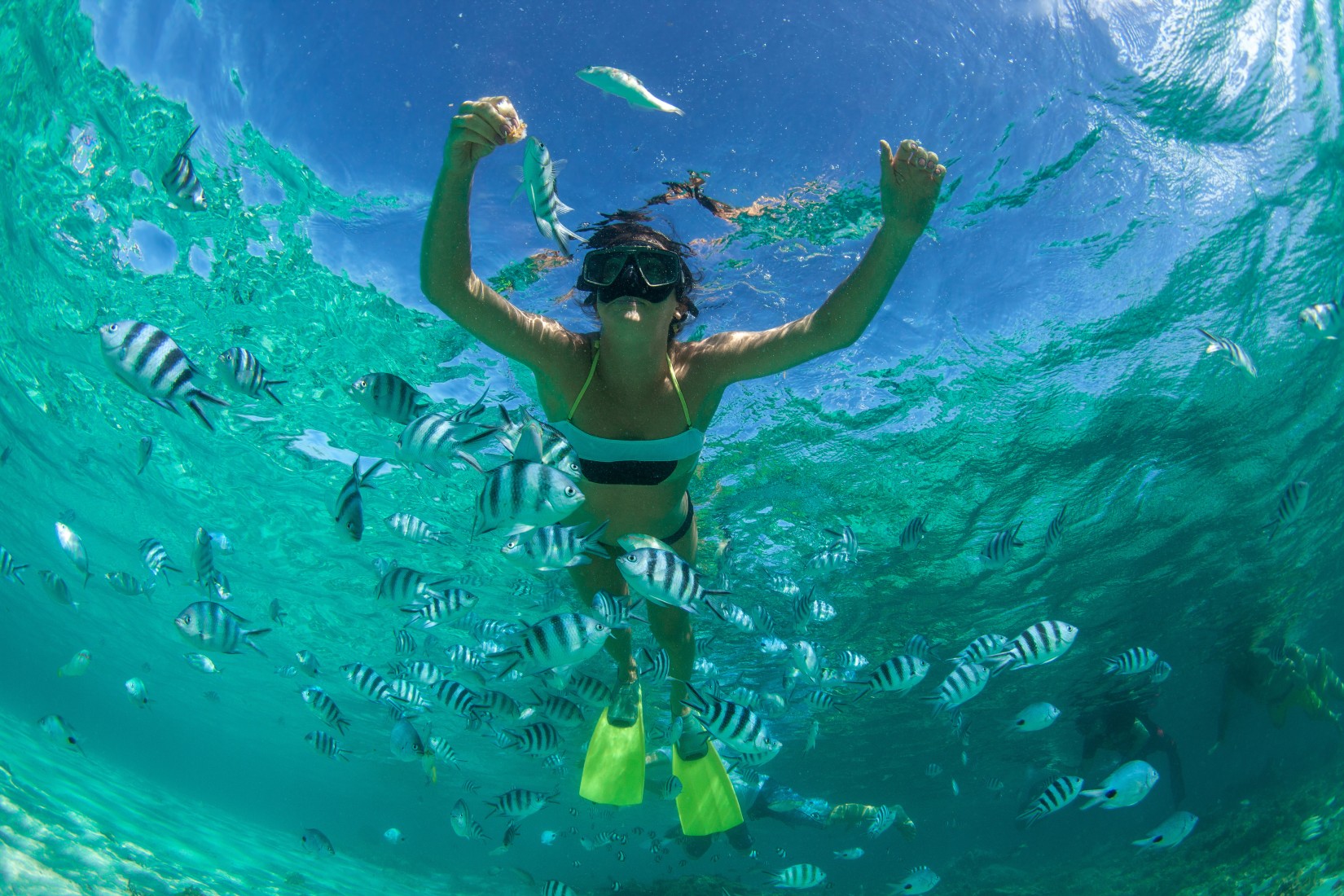 under-the-sea-royal-caribbean